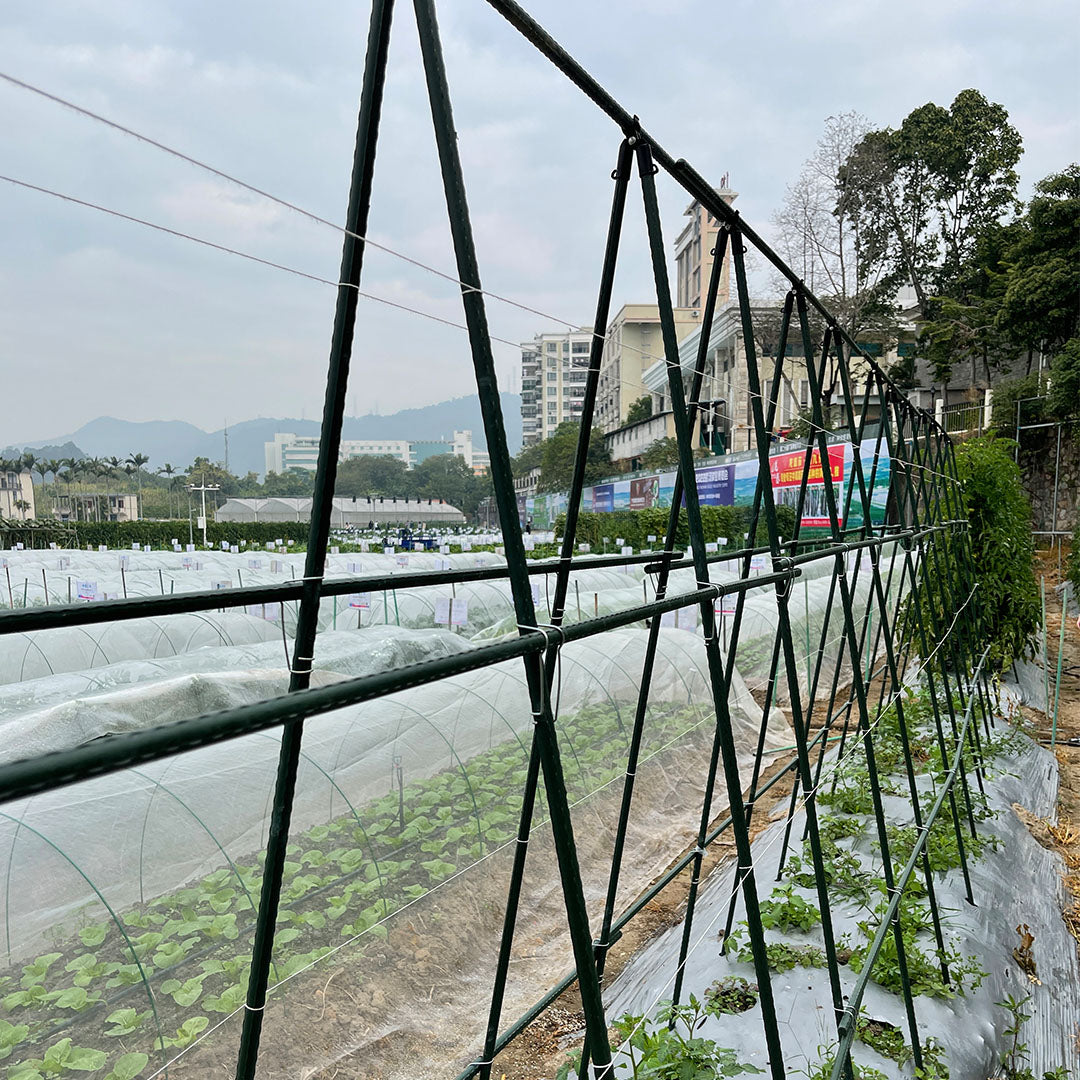 Plant Frame Trellis