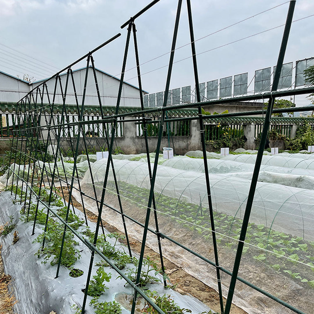 Plant Frame Trellis
