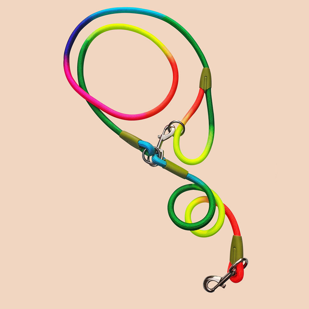 Pet Leash