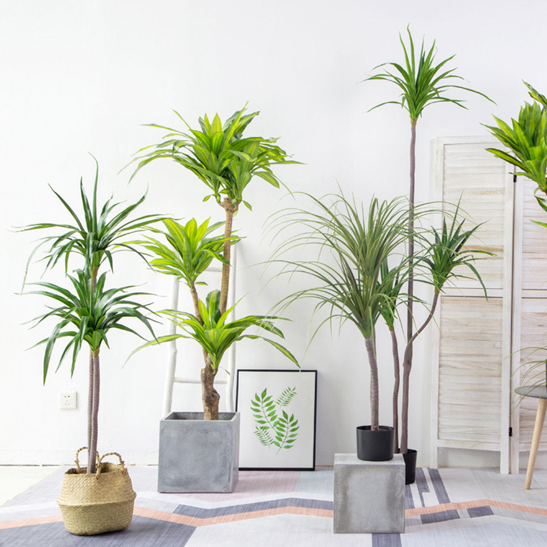 iron palm plant Artificial Brazilian Iron Plant – Simple Mart Home Essentials