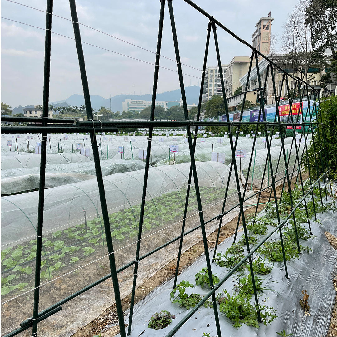 Plant Frame Trellis