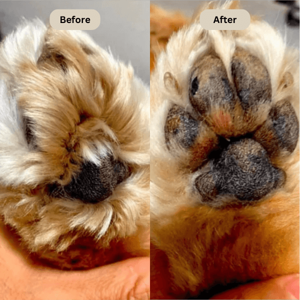 Electric Fur Trimmer