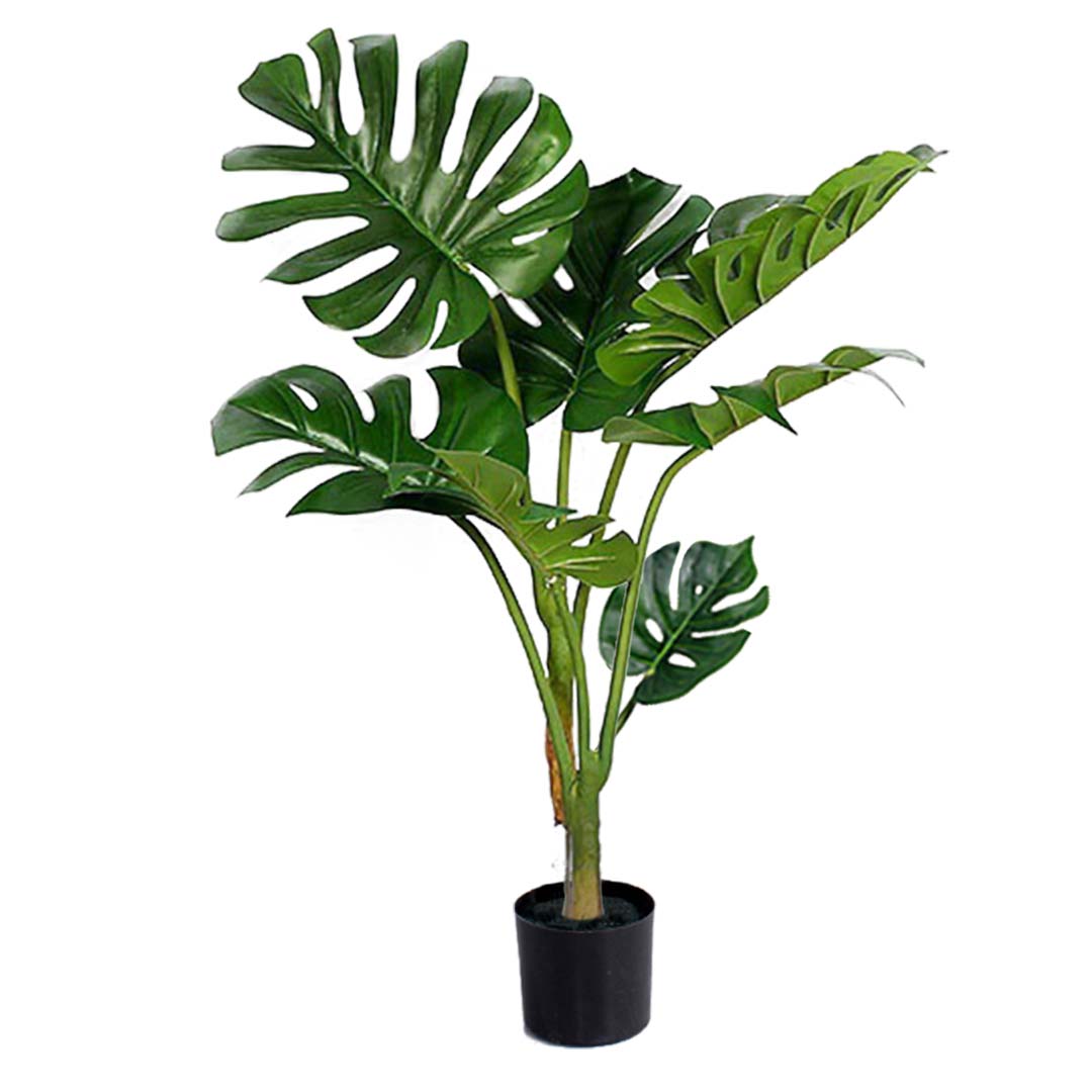 Turtle Back Artificial Plant