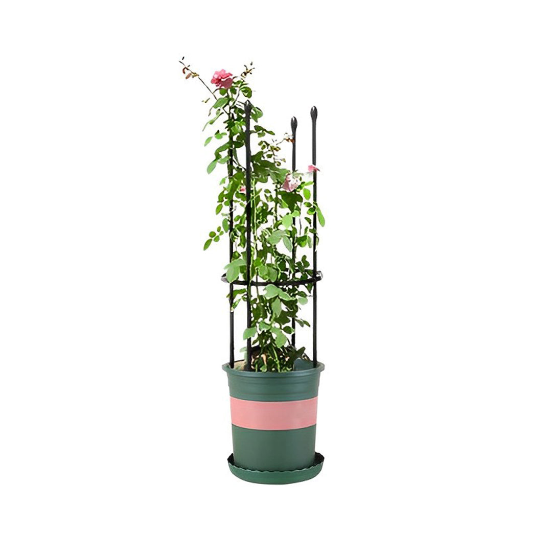 Plant Frame Trellis