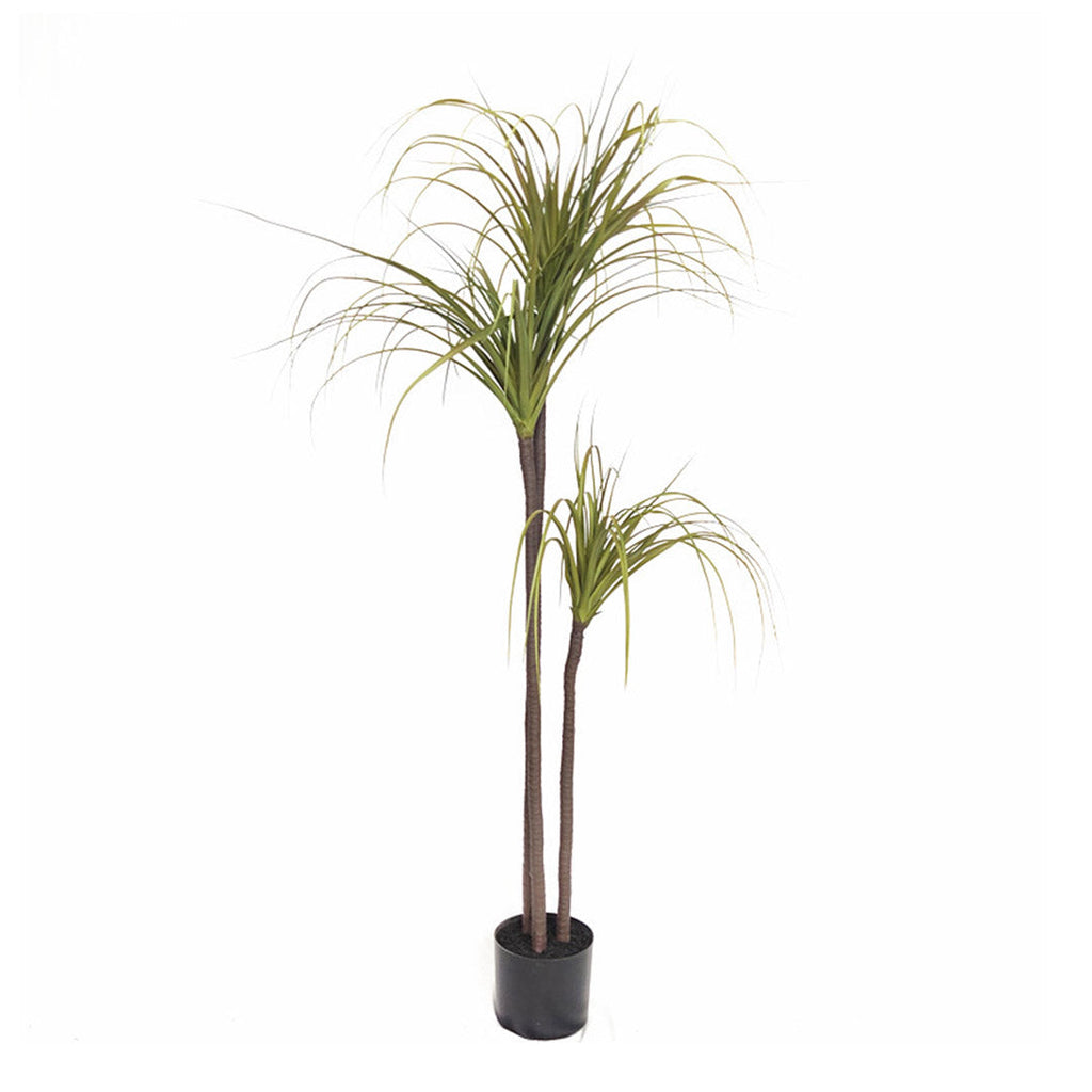 Artificial Dracaena Plant