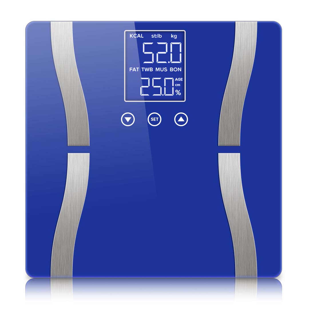 Body Fat Scale