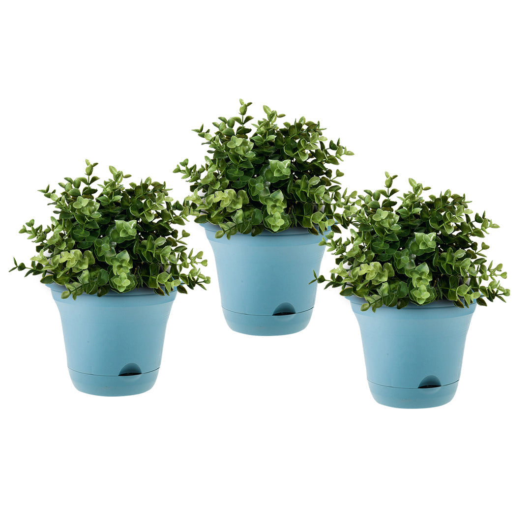 Plastic Plant Pot