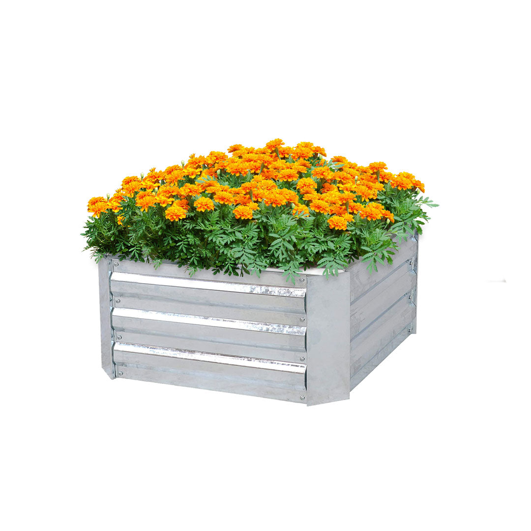 Silver Raised Garden Bed
