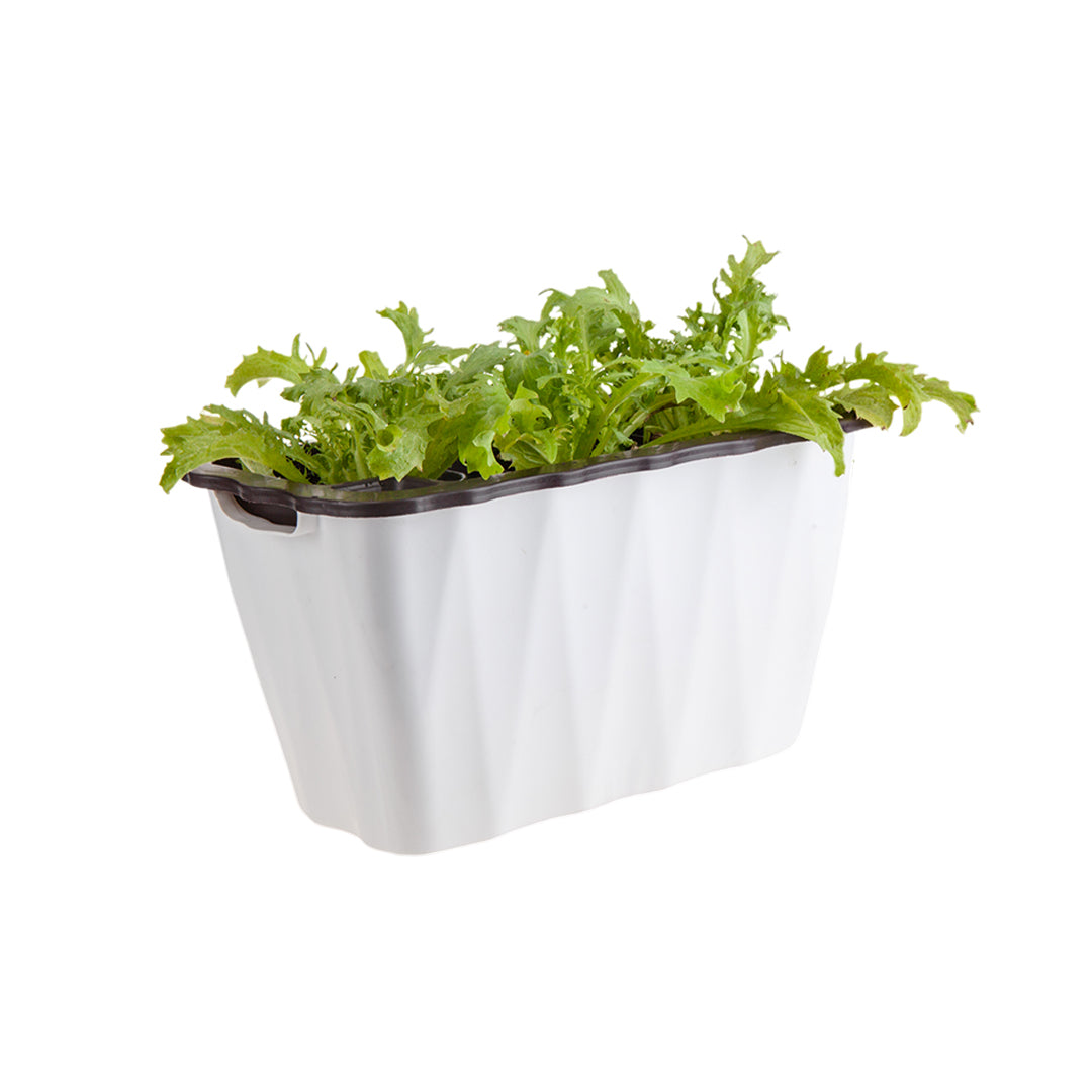 White Flowerpot