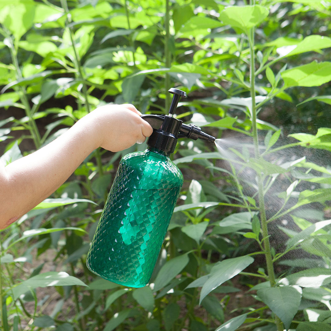 2L Mist Spray Bottle