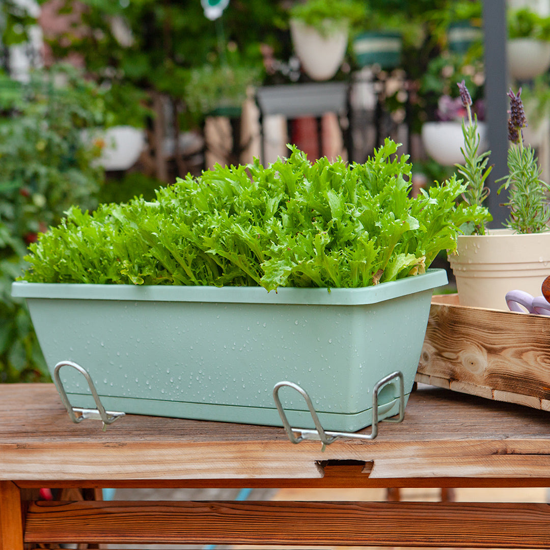 Rectangular Planter