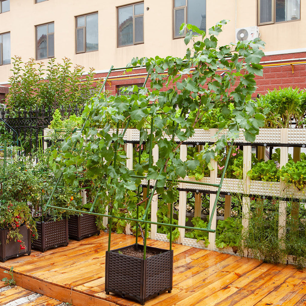 Inclined Plant Frame Tube