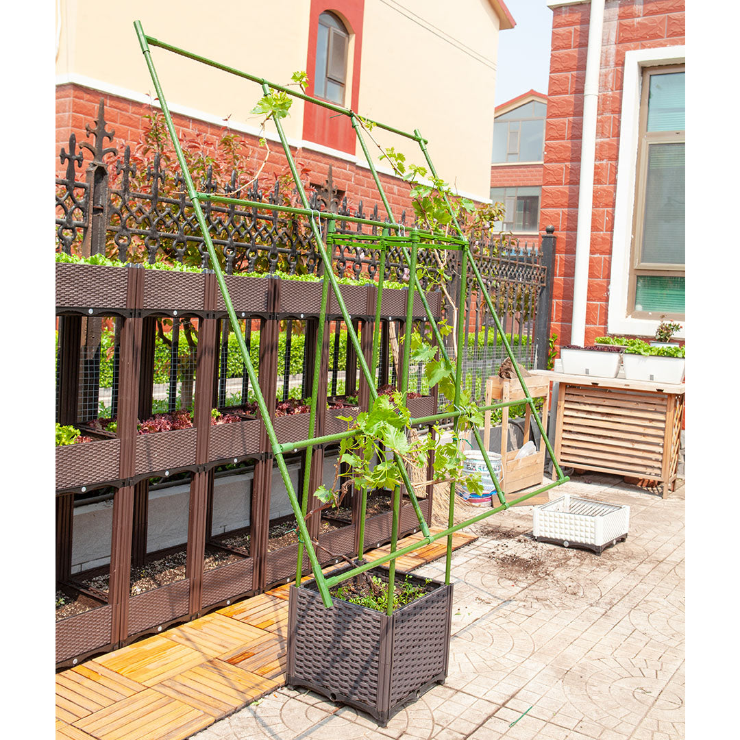 Inclined Plant Frame Tube