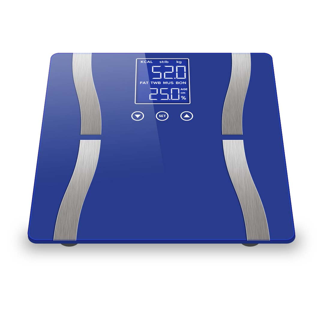 Body Fat Scale