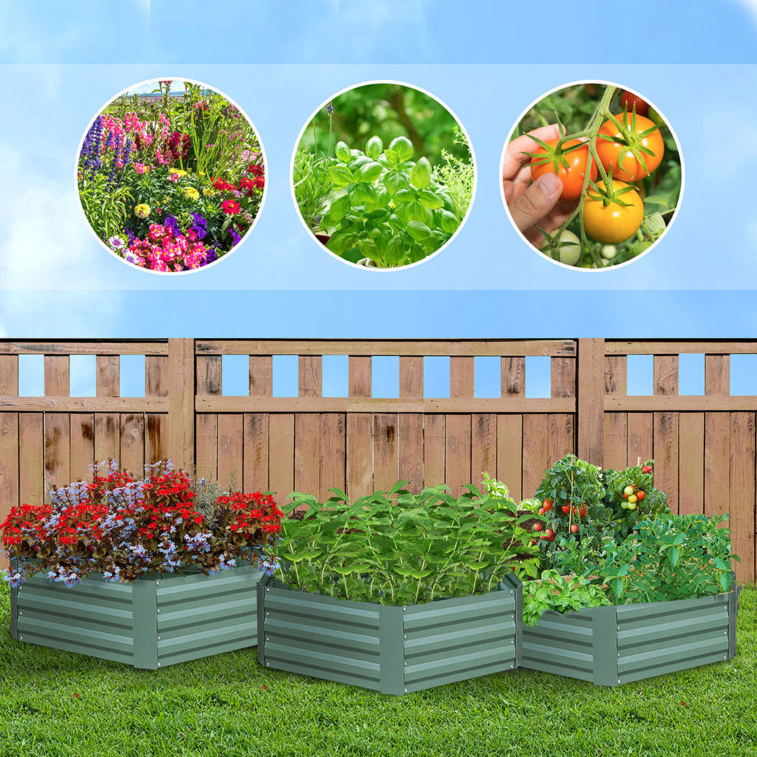 Hexagonal Raised Garden Bed