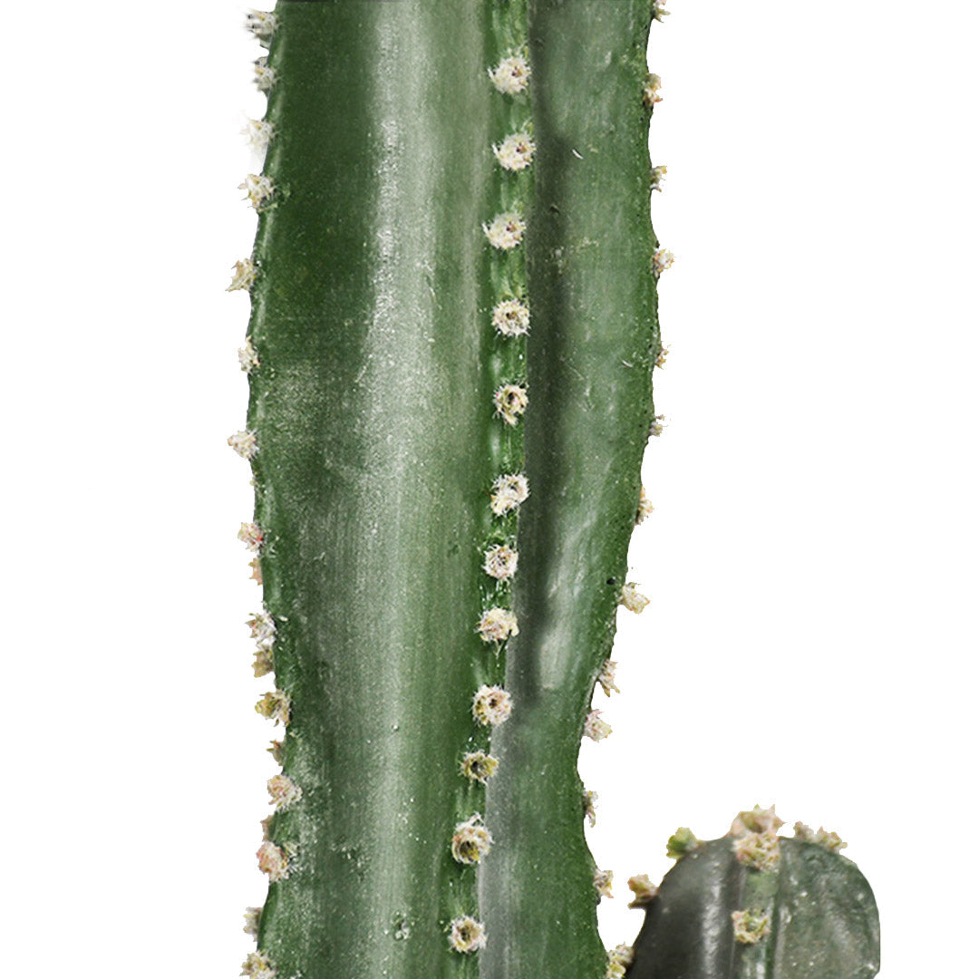 Potted Artificial Cactus Plant