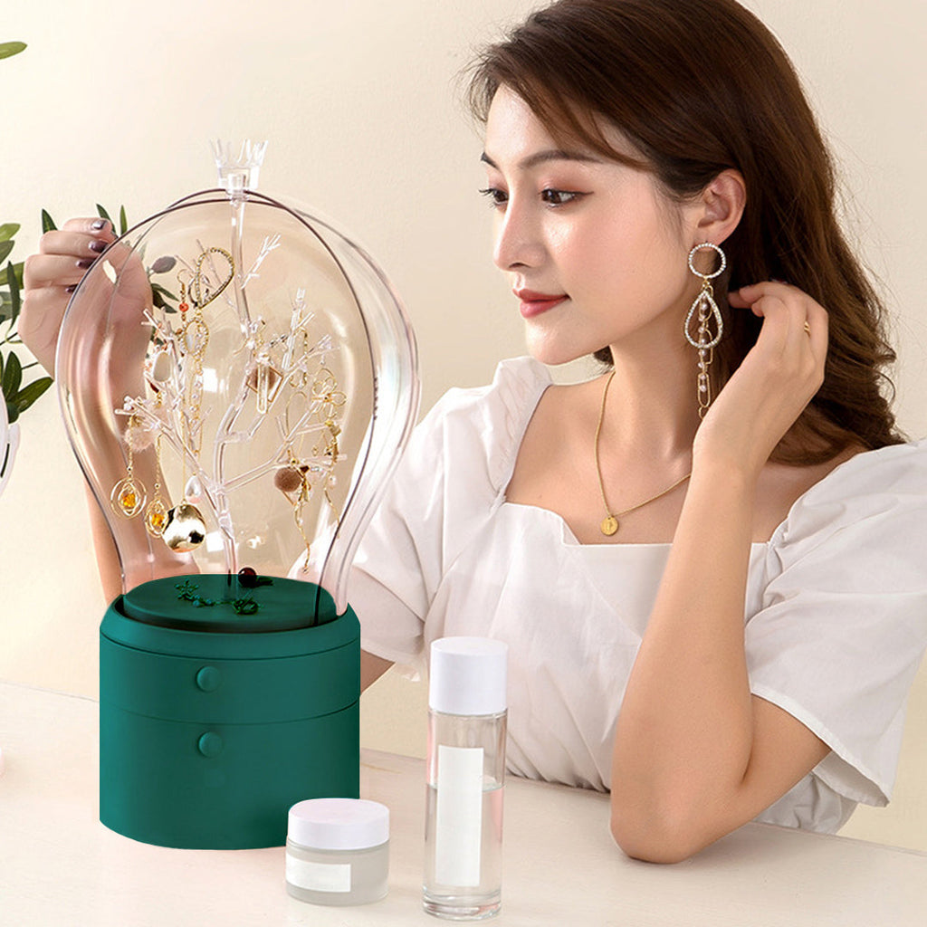 Jewelry Storage Organiser