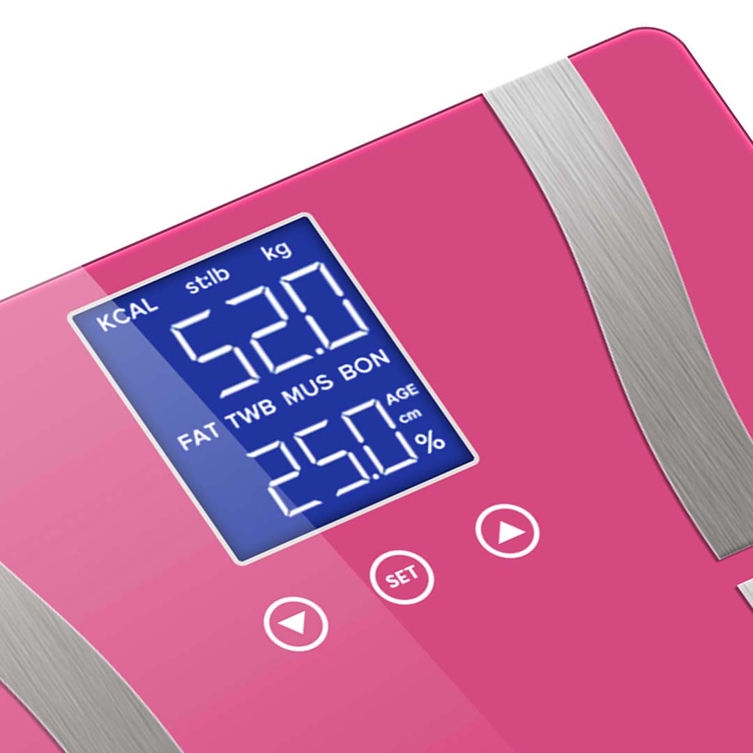 Body Fat Scale