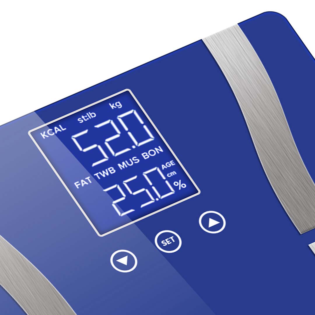 Body Fat Scale