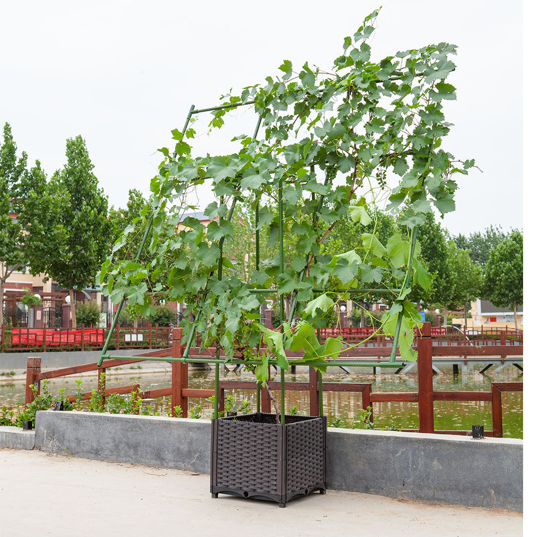 Inclined Plant Frame Tube