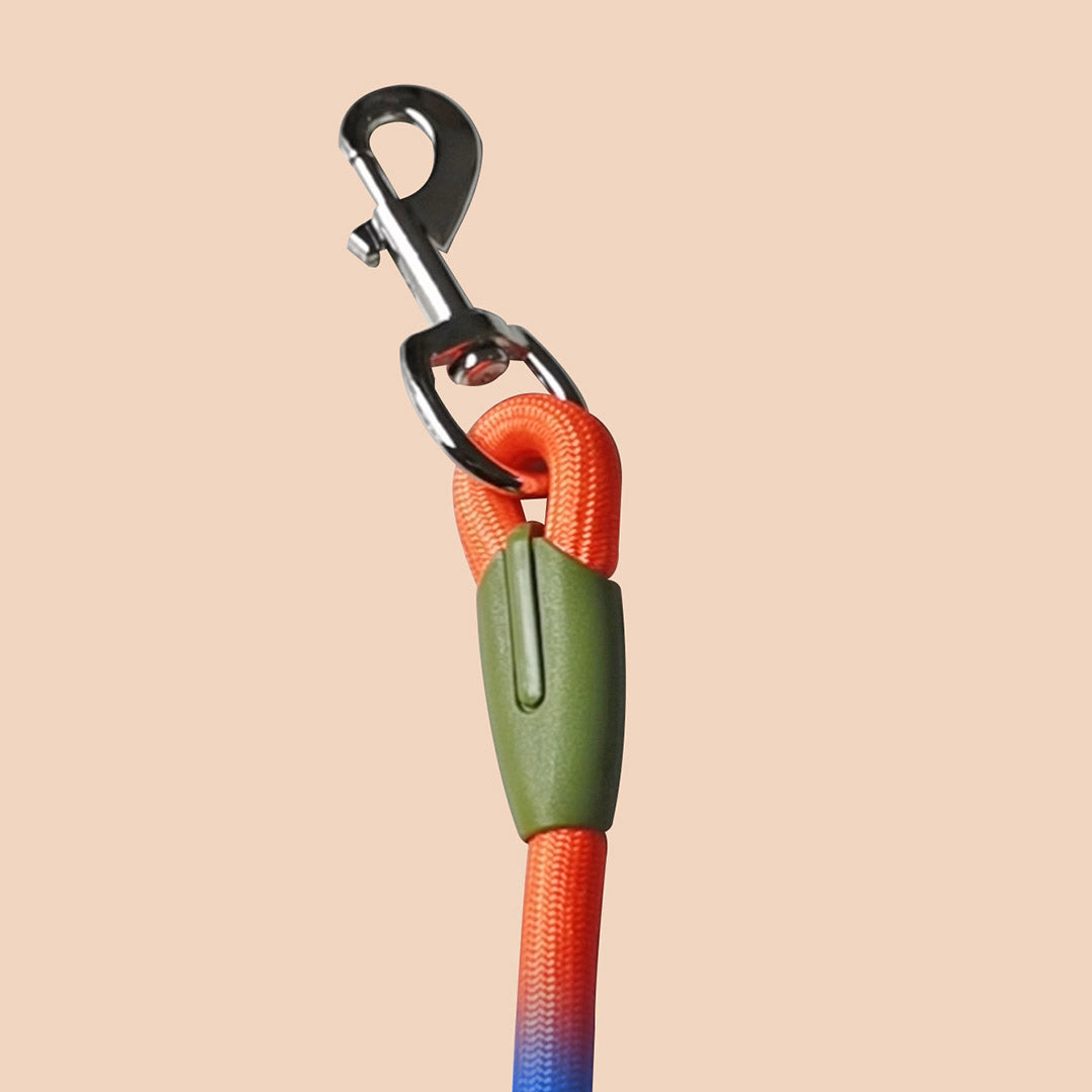 Pet Leash
