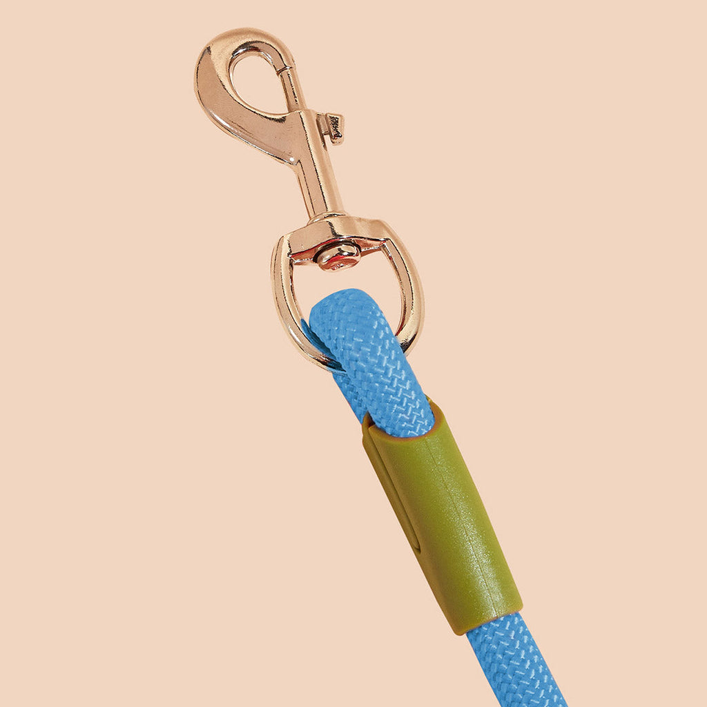 Crossbody Pet Leash