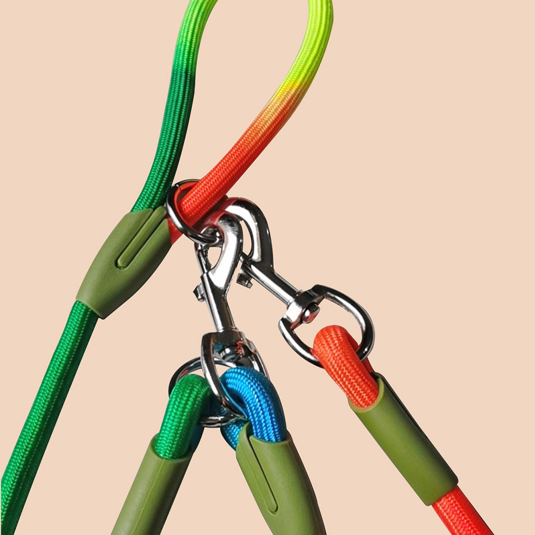 Pet Leash