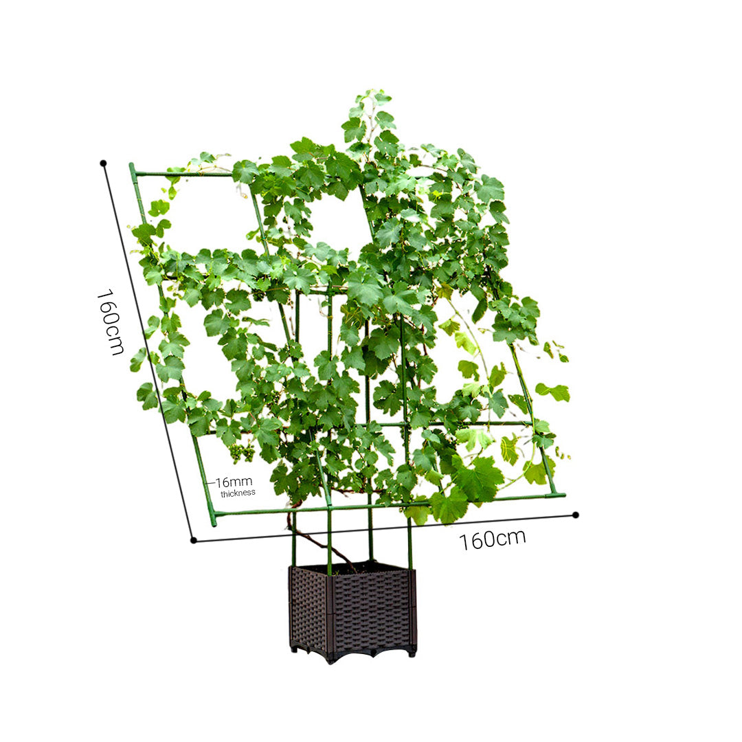 Inclined Plant Frame Tube