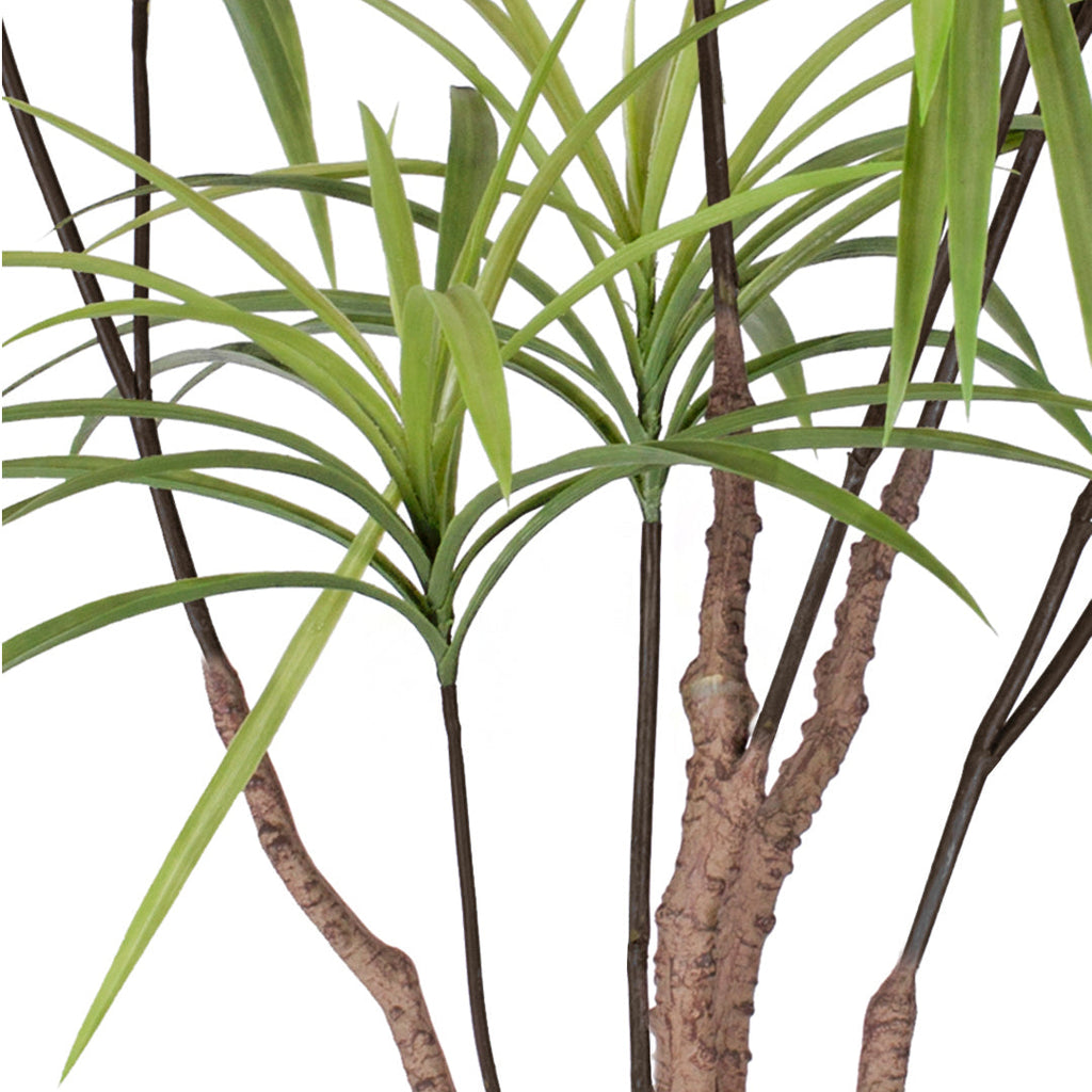 Dracaena Dragon Artificial Plant