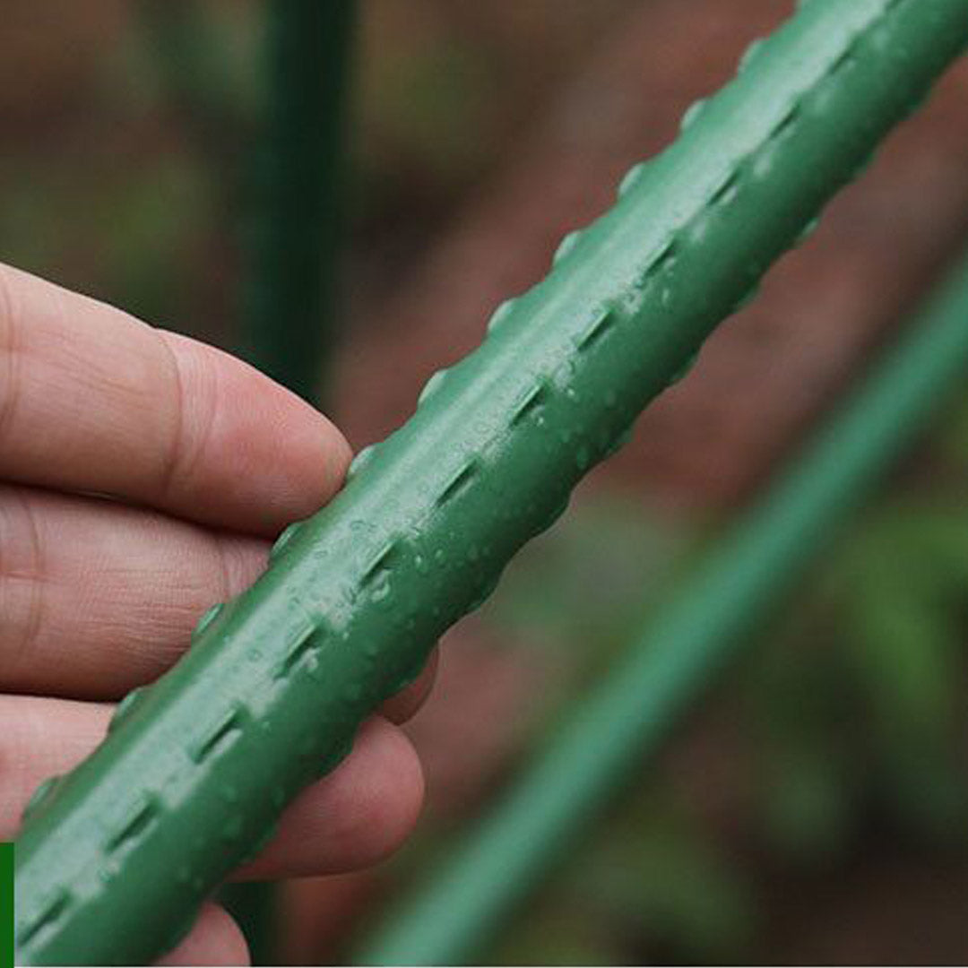 Plant Frame Trellis