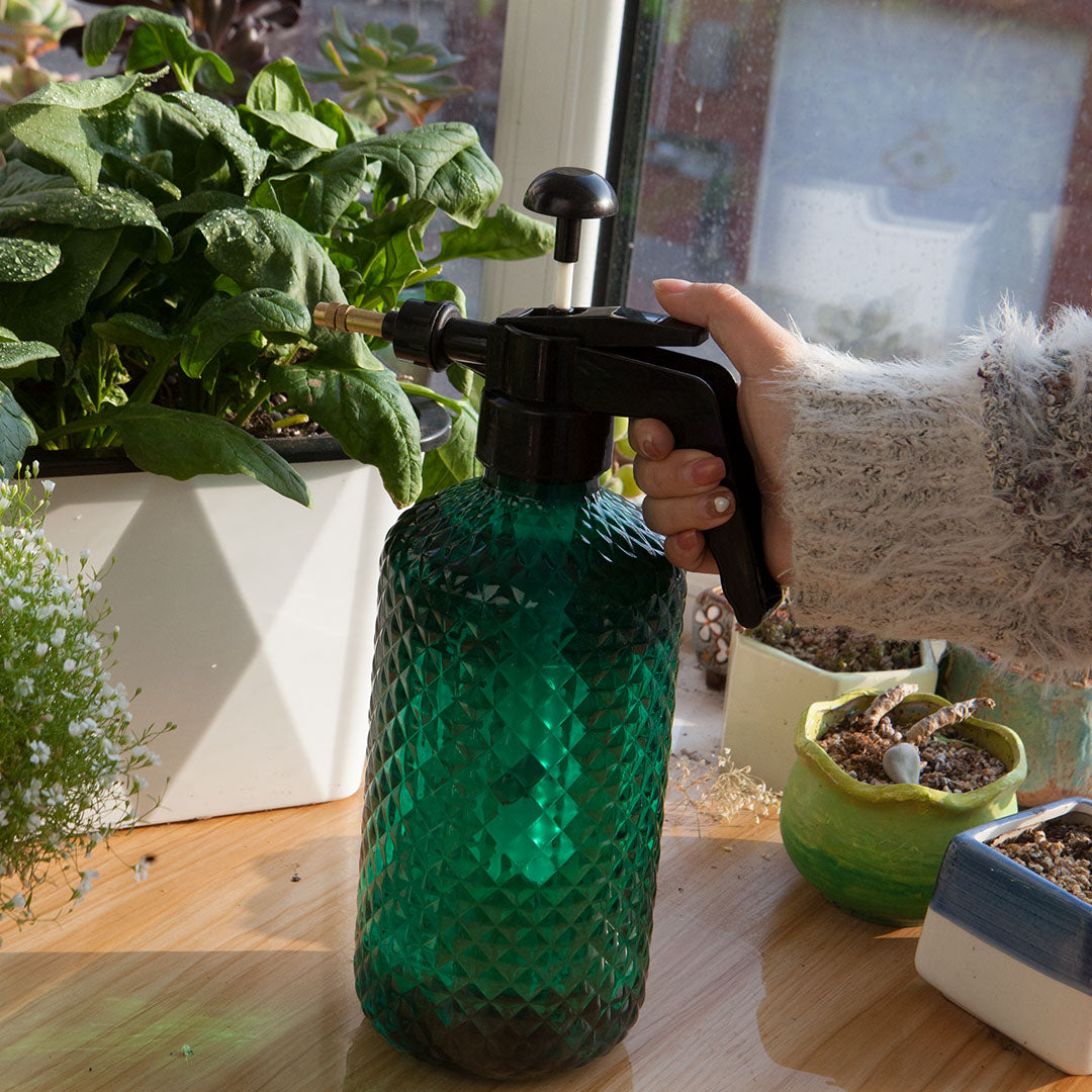2L Mist Spray Bottle
