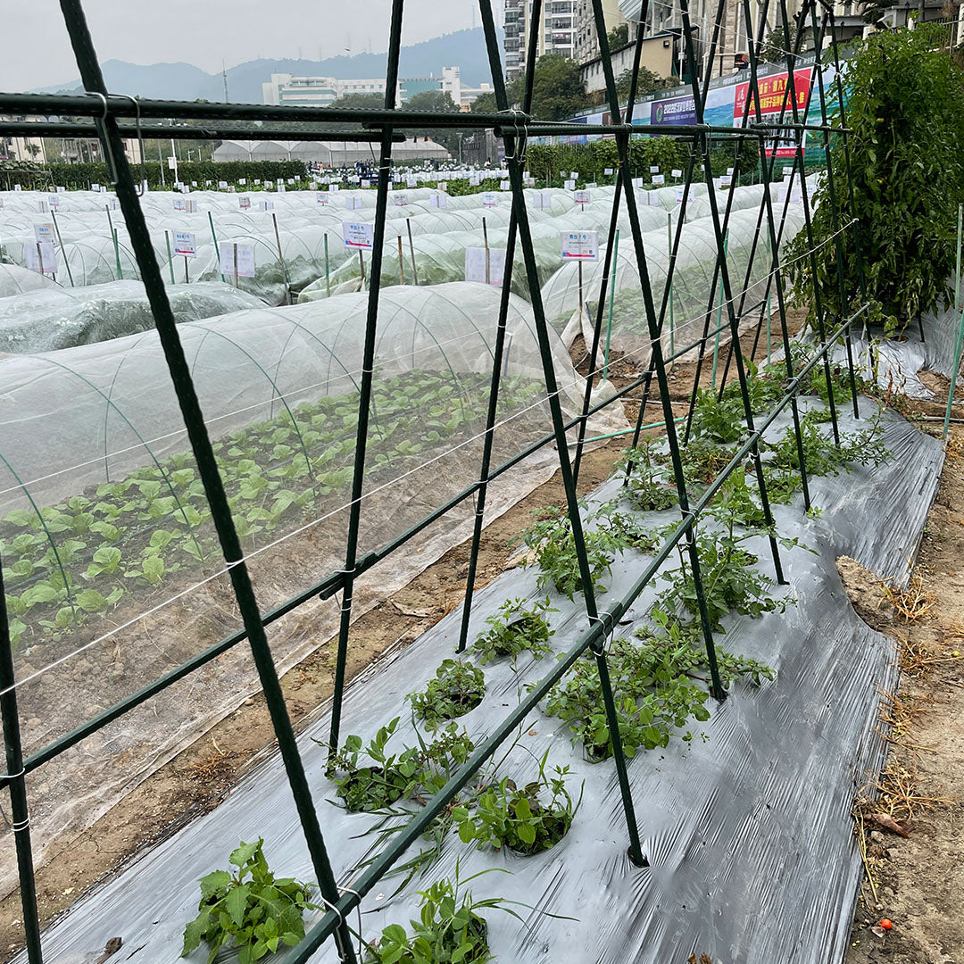 Plant Frame Trellis