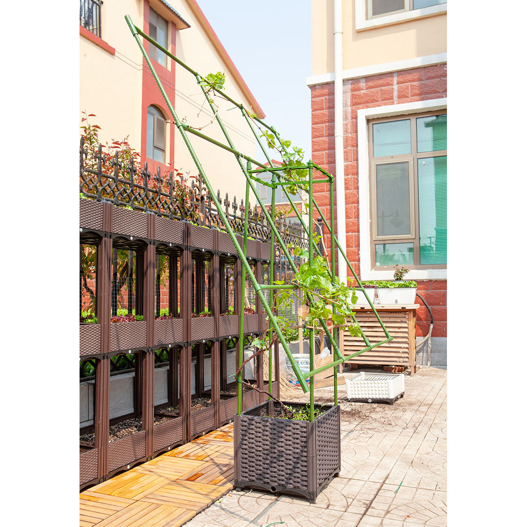 Inclined Plant Frame Tube
