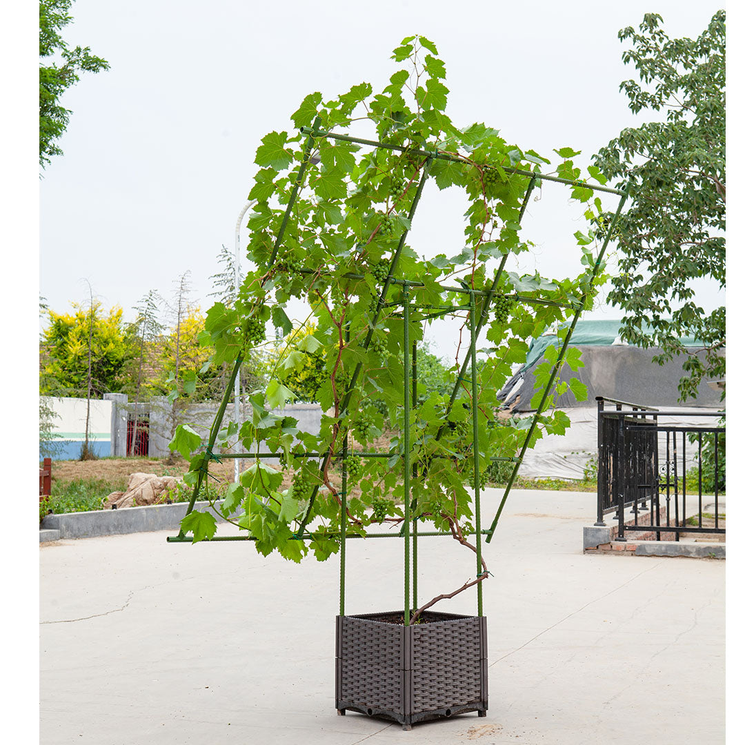 Inclined Plant Frame Tube