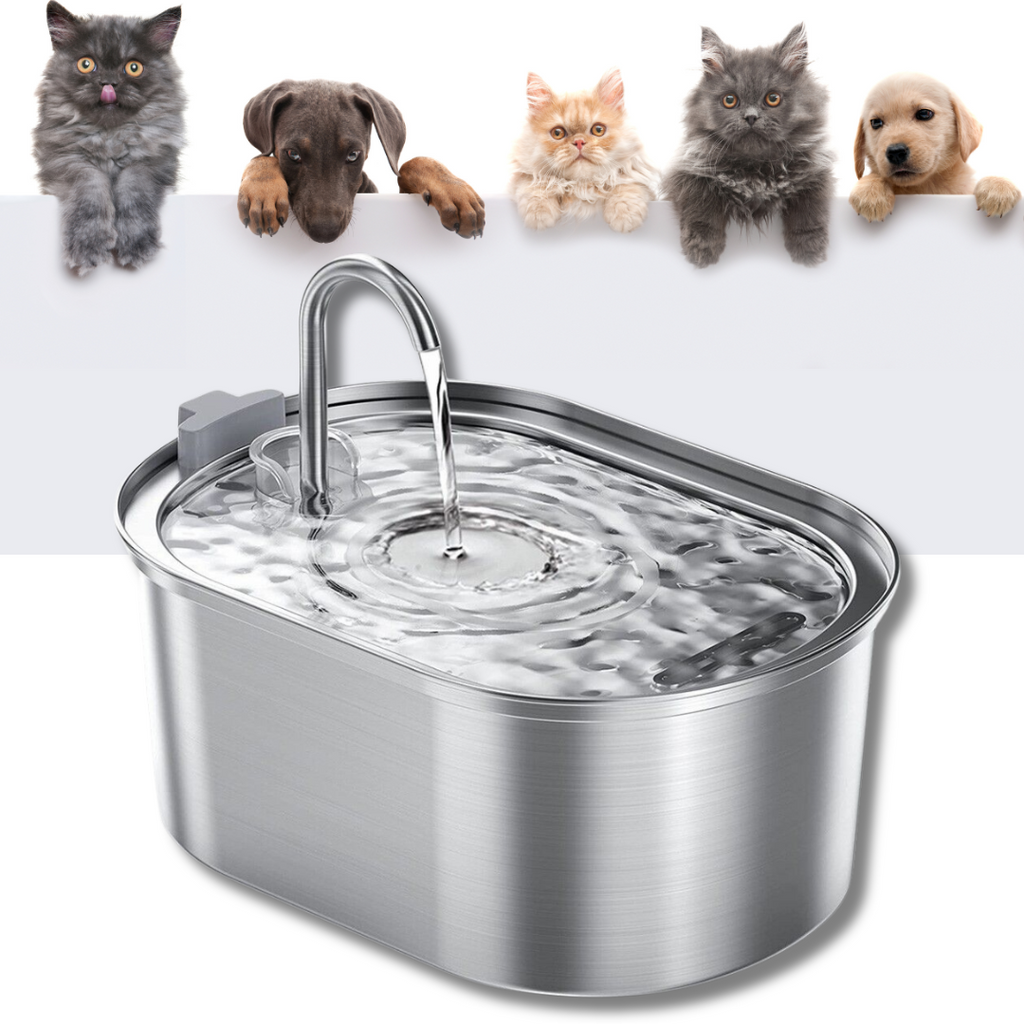 Pet Water Fountain 3.2L