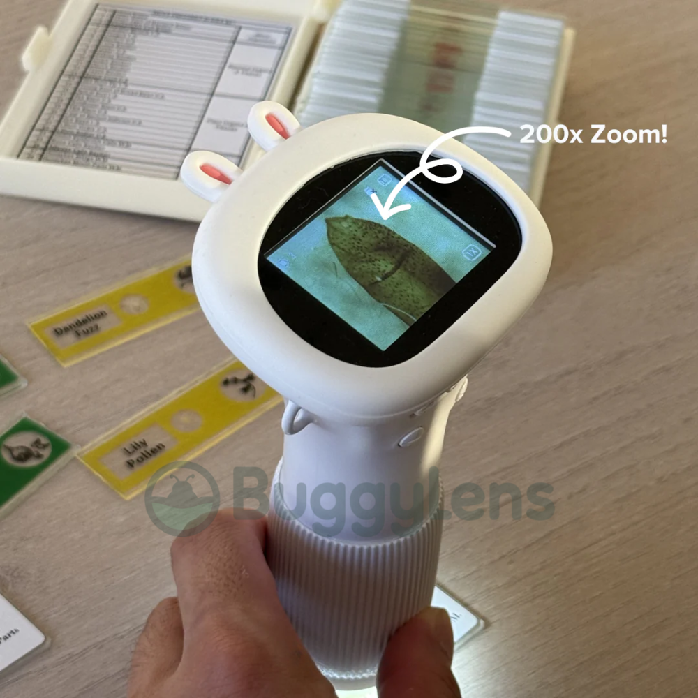 The DigiScope