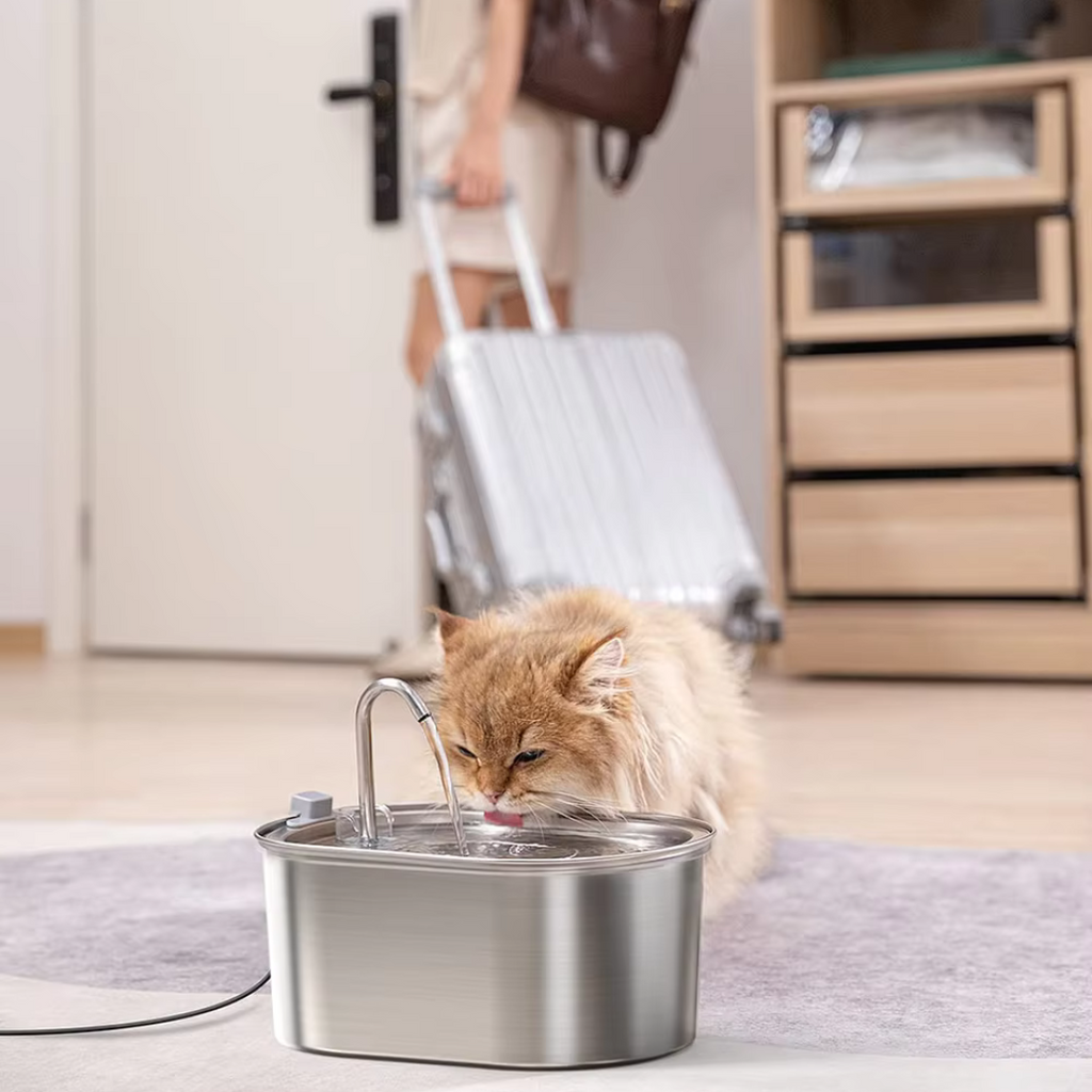 Pet Water Fountain 3.2L