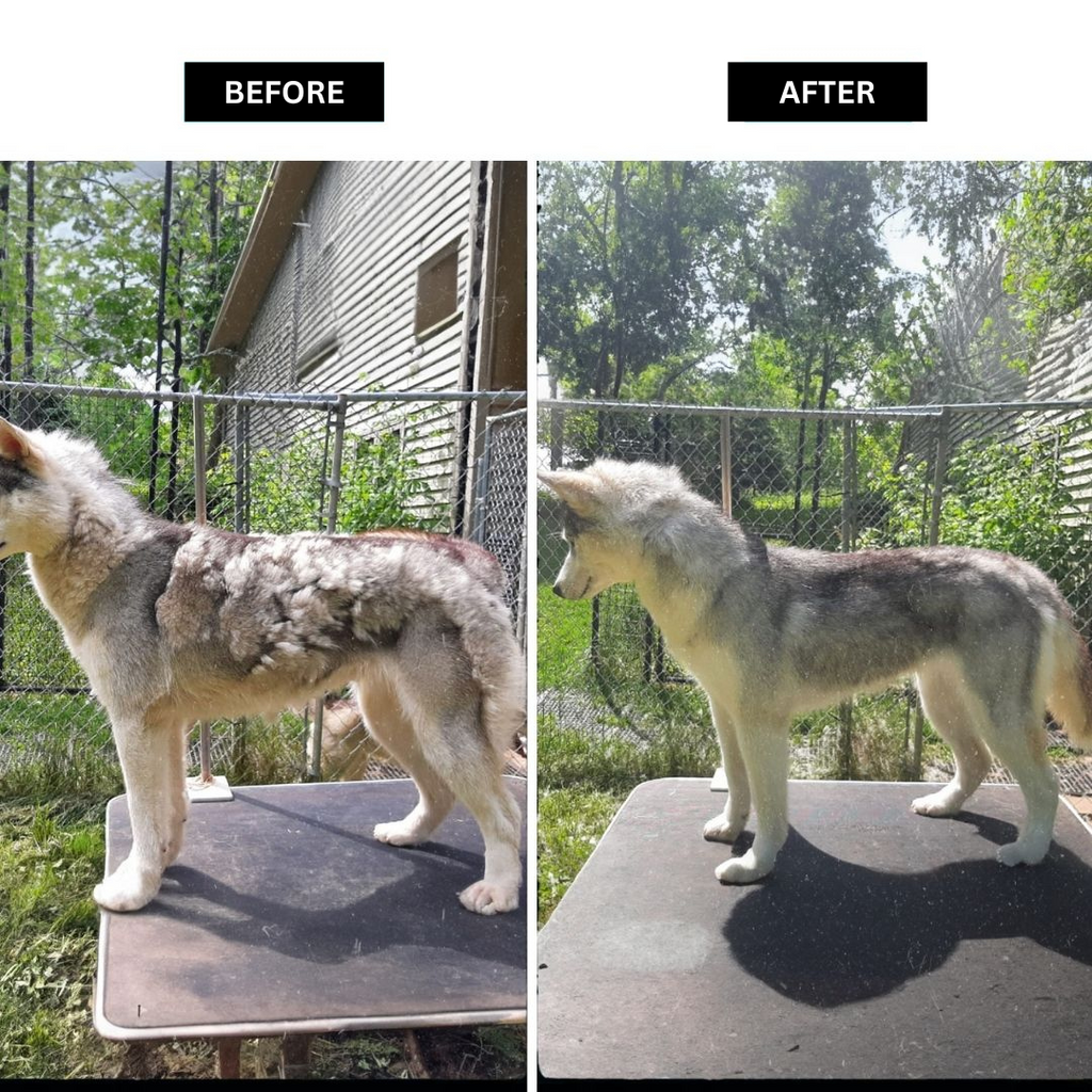 5-in-1 Pet Grooming Kit