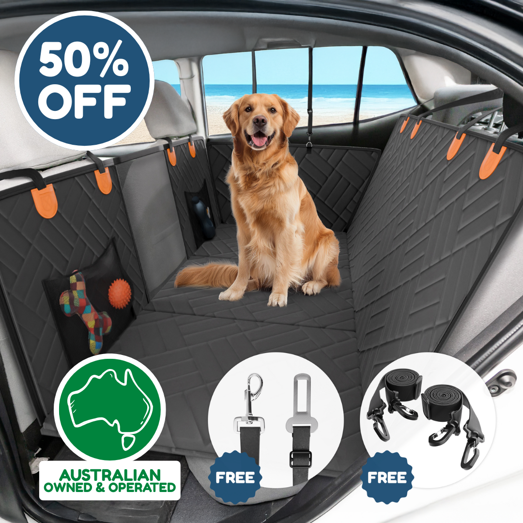 Dog Car Seat