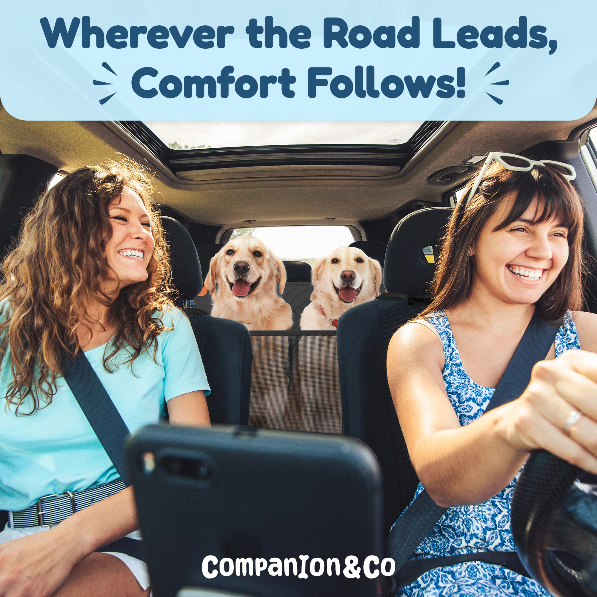 Dog Car Seat
