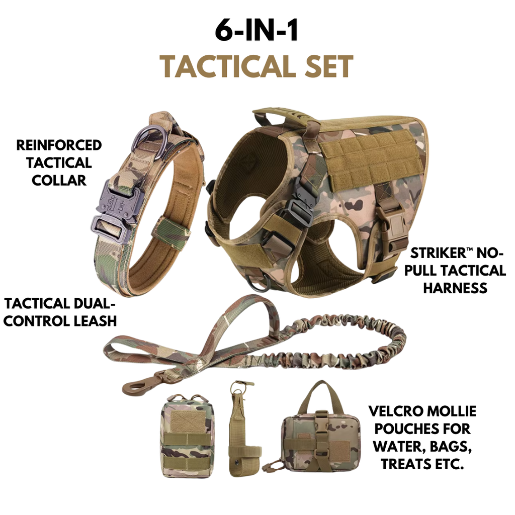 Tactical No-Pull Harness