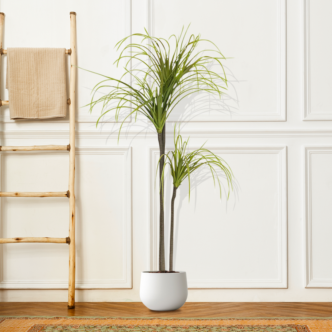 Artificial Dracaena Plant