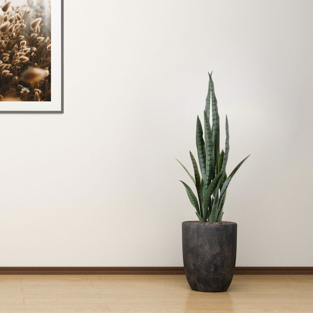 Artificial Sansevieria Snake Plant