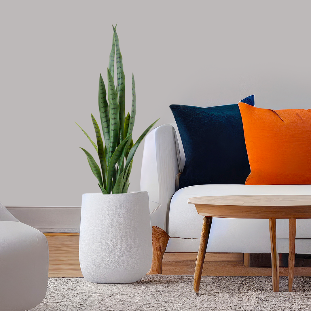 Artificial Sansevieria Snake Plant