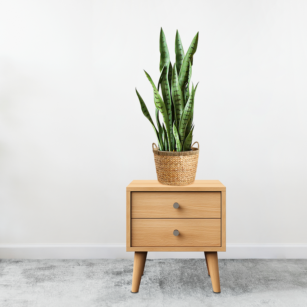 Artificial Sansevieria Snake Plant